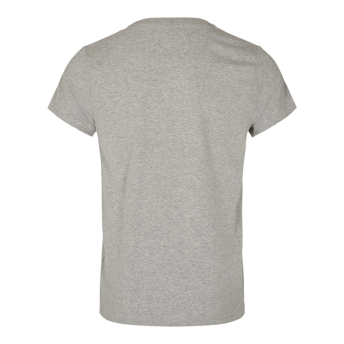 The Analogues logo T-shirt Grijs