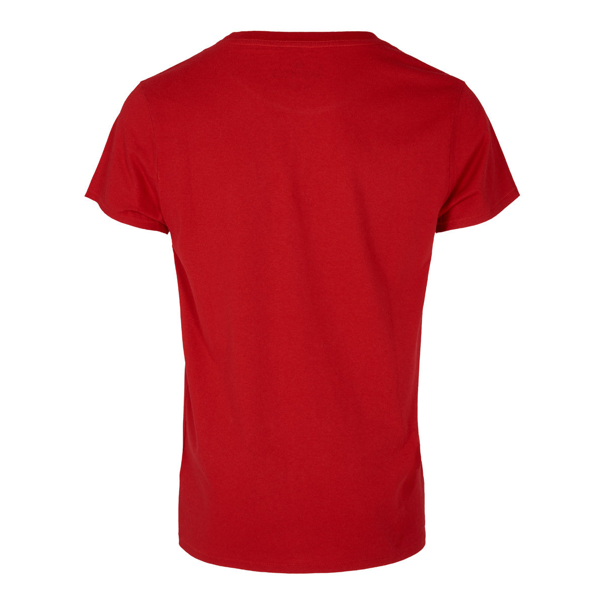 The Analogues logo T-shirt Red