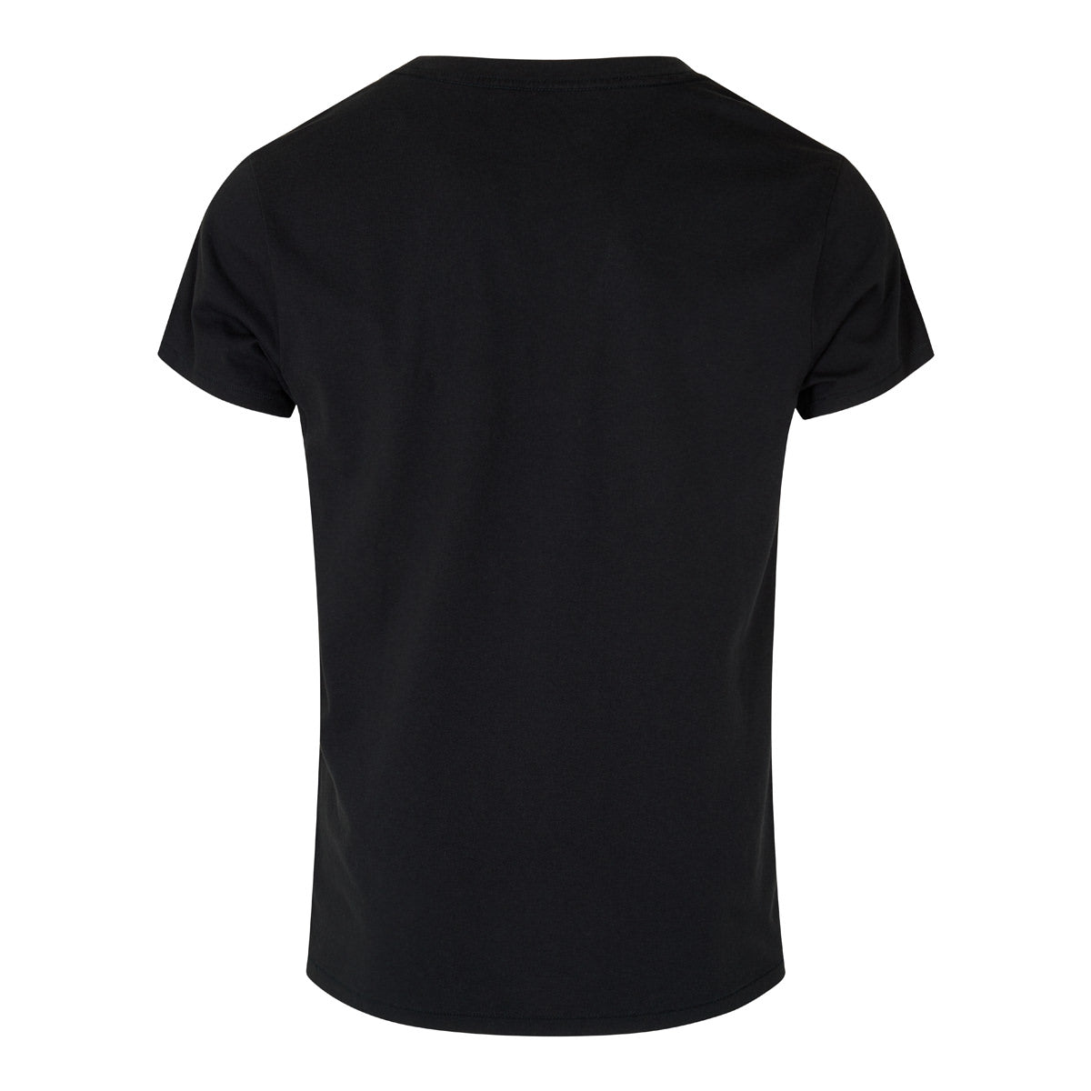 The Analogues | The Sun Is Up T-shirt | Back