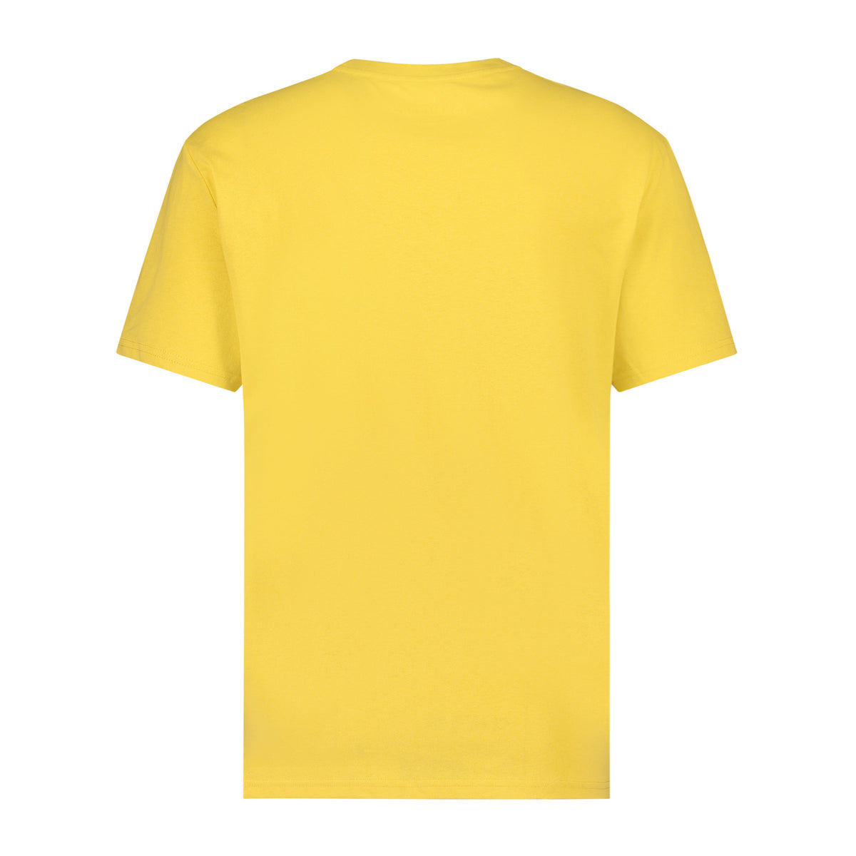 The Analogues | Because the sky is blue T-shirt Yellow | Back