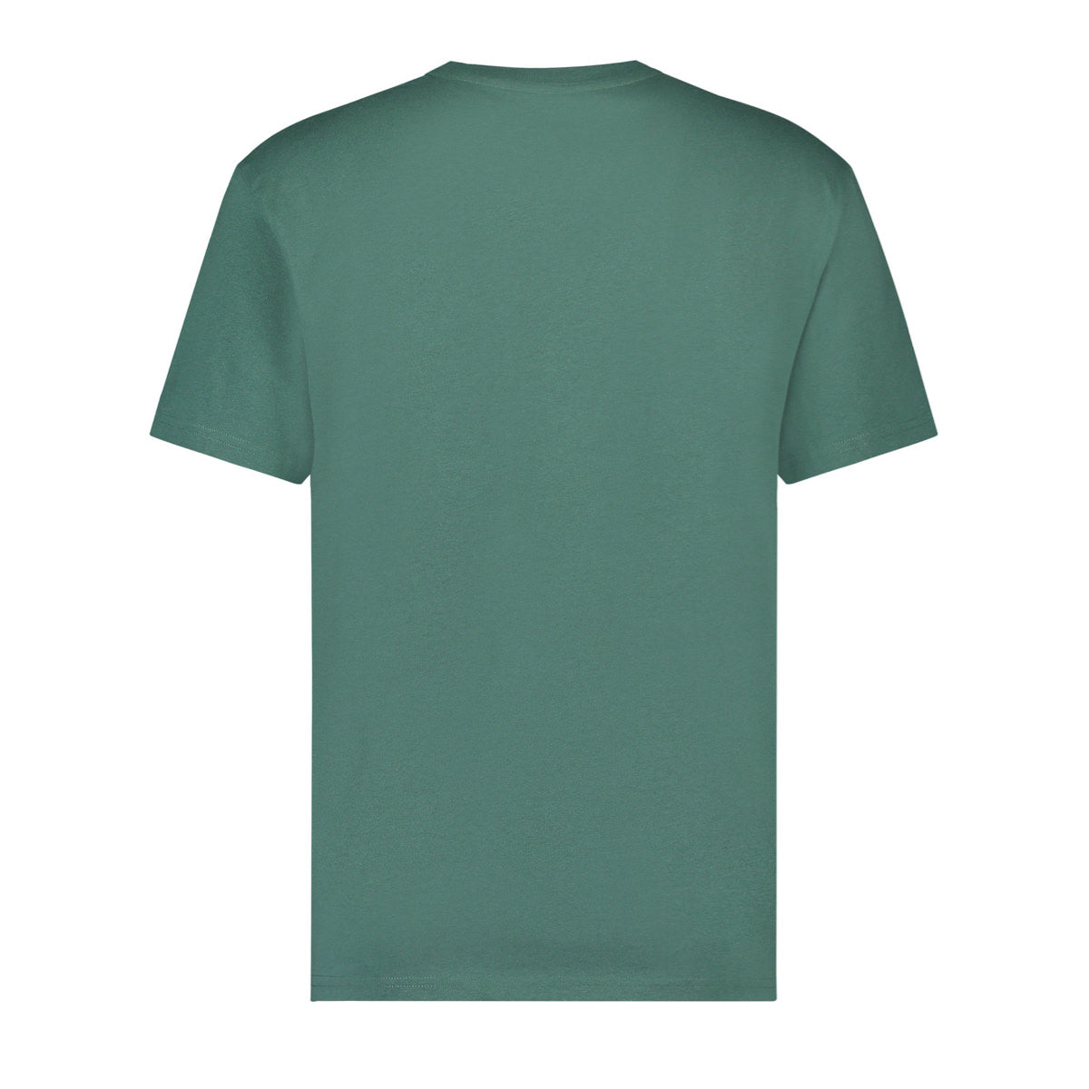   Bewerken The Analogues | Sundays on the phone T-shirt Green | Back